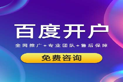 百度竞价SEM策略解析：某品牌广告成功的关键因素